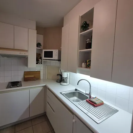 Business Flat شقة خنت