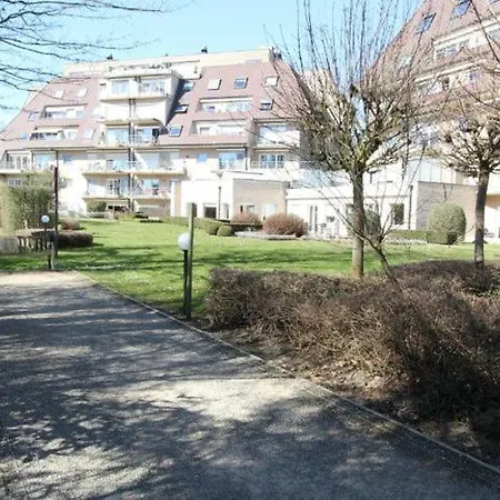 Business Flat شقة *